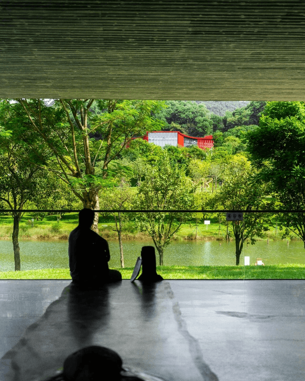 深圳必去2間湖景公園Cafe☕️愜意嘆咖啡之餘影相打卡一流📷