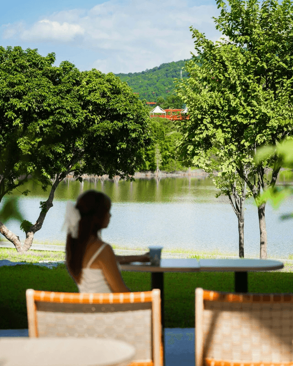 深圳必去2間湖景公園Cafe☕️愜意嘆咖啡之餘影相打卡一流📷