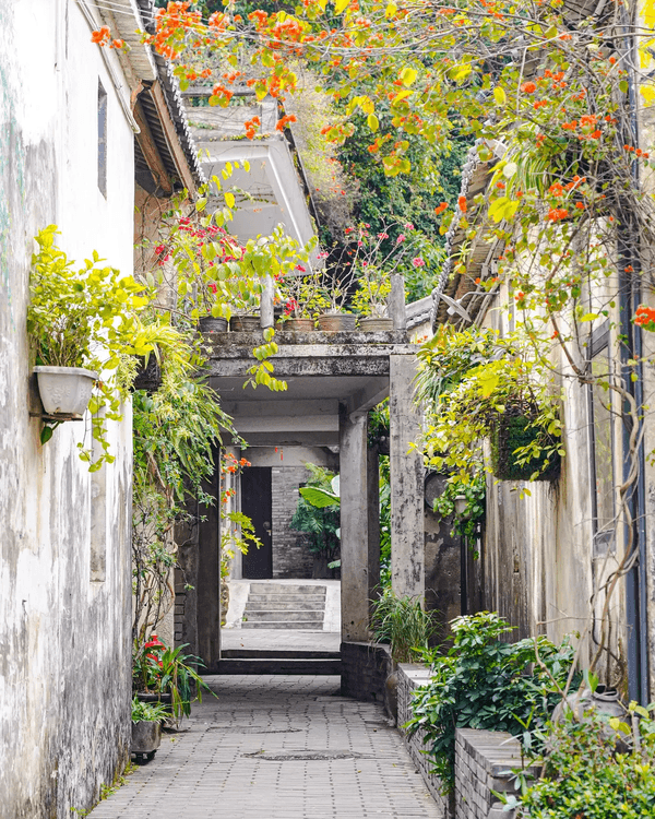 深圳龍崗甘坑古鎮9大打卡點介紹📷帶你走進350年歷史客家村落🍃