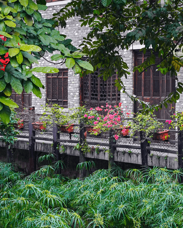深圳龍崗甘坑古鎮9大打卡點介紹📷帶你走進350年歷史客家村落🍃