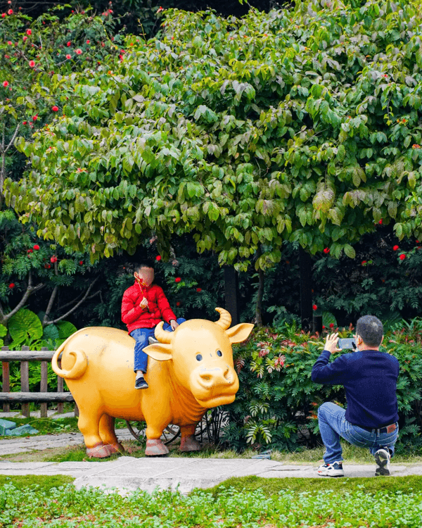 深圳龍崗甘坑古鎮9大打卡點介紹📷帶你走進350年歷史客家村落🍃