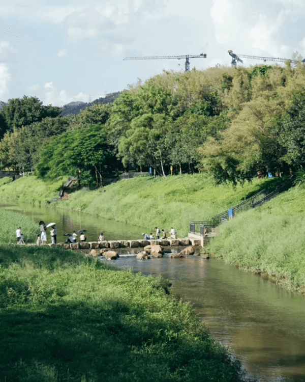 深圳華強北中心公園周末必去🍃宮崎駿「網紅橋」小紅書爆紅必打卡✨