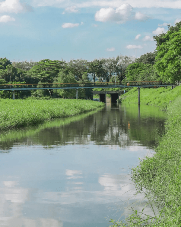 深圳華強北中心公園周末必去🍃宮崎駿「網紅橋」小紅書爆紅必打卡✨