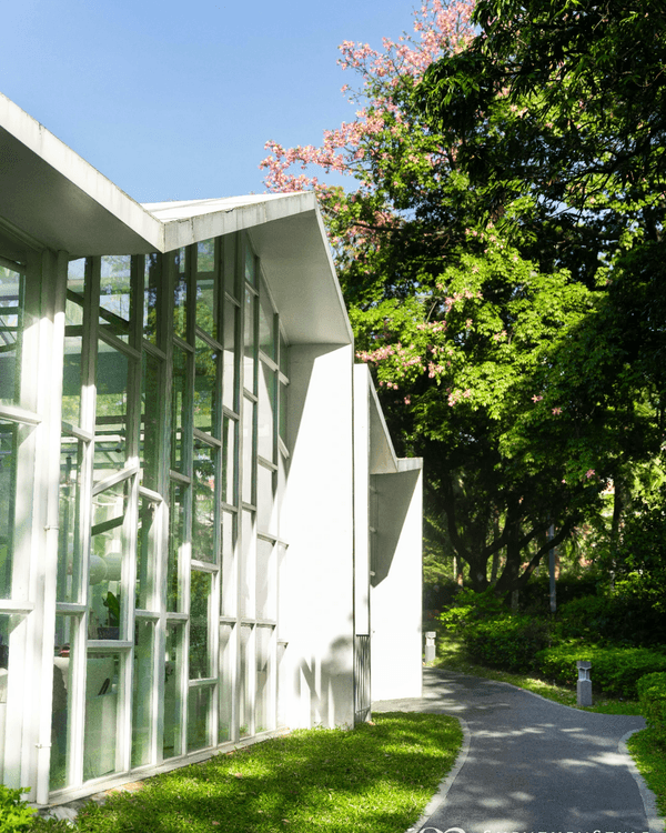 深圳南山打卡必去「白色玻璃屋Cafe」☕️四周綠意盎然勁似歐洲🌿