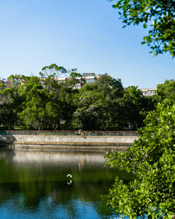 深圳南山打卡必去「白色玻璃屋Cafe」☕️四周綠意盎然勁似歐洲🌿