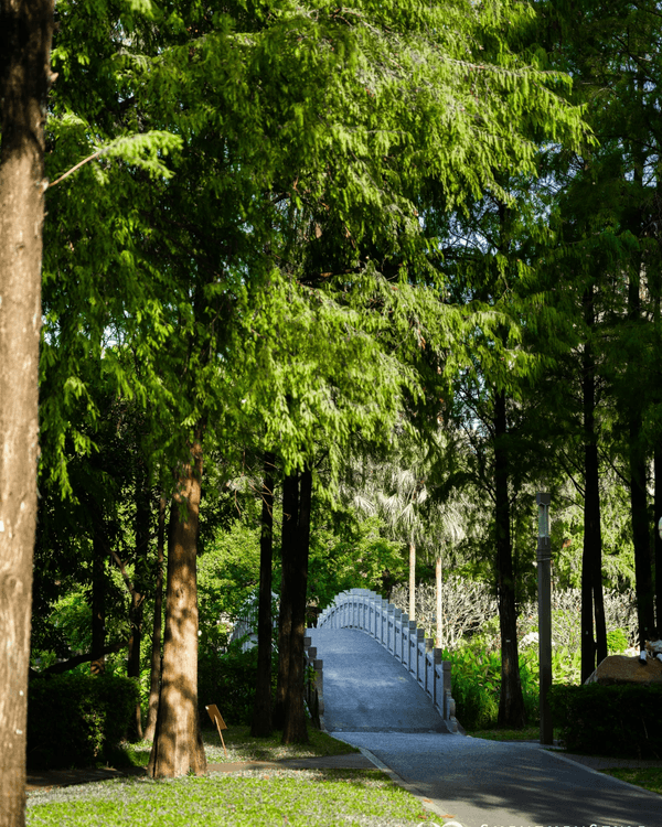 深圳南山打卡必去「白色玻璃屋Cafe」☕️四周綠意盎然勁似歐洲🌿