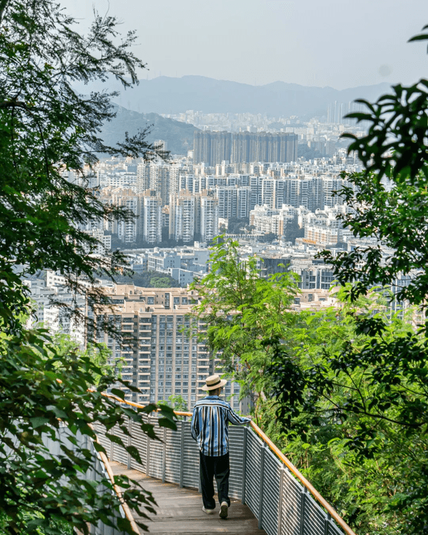 深圳寶安Citywalk指南🚶🏻帶你爽逛文體場地+山邊海景路線🌊