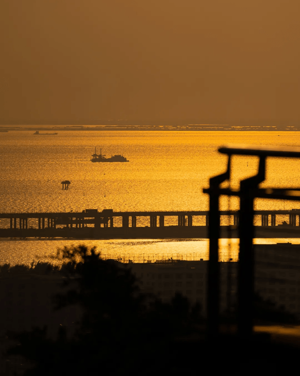 深圳寶安Citywalk指南🚶🏻帶你爽逛文體場地+山邊海景路線🌊