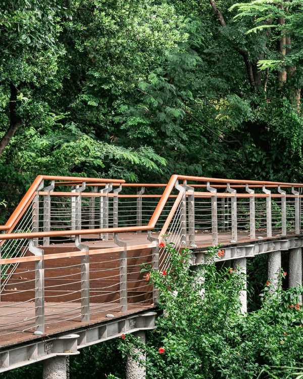深圳寶安Citywalk指南🚶🏻帶你爽逛文體場地+山邊海景路線🌊
