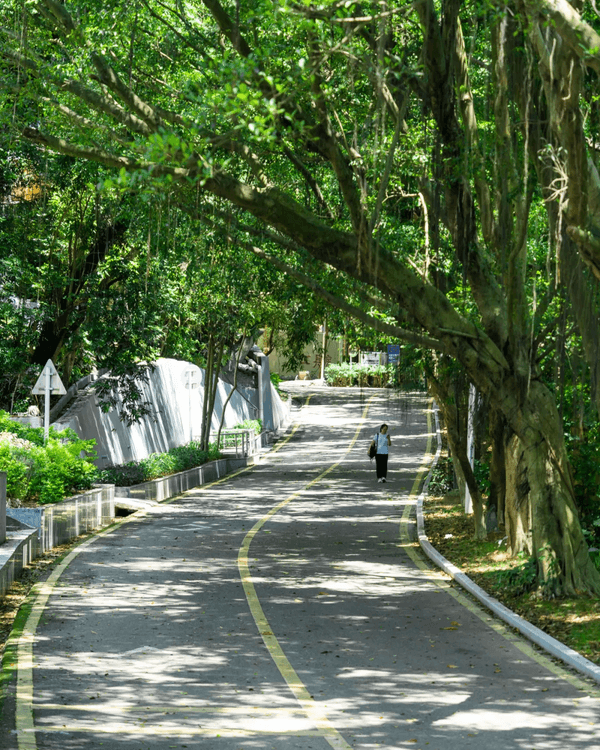 深圳寶安Citywalk指南🚶🏻帶你爽逛文體場地+山邊海景路線🌊