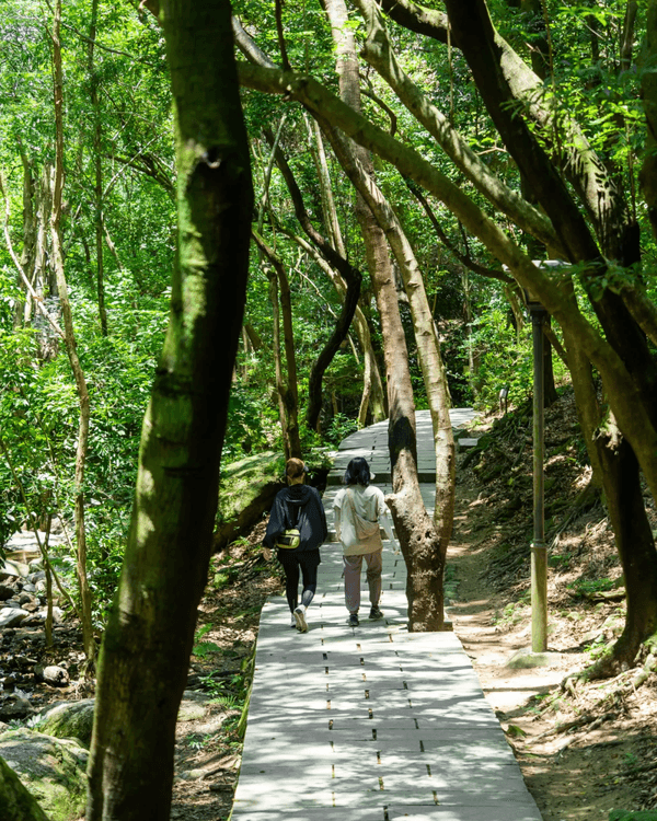 深圳寶安Citywalk指南🚶🏻帶你爽逛文體場地+山邊海景路線🌊