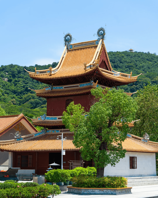 深圳寶安Citywalk指南🚶🏻帶你爽逛文體場地+山邊海景路線🌊