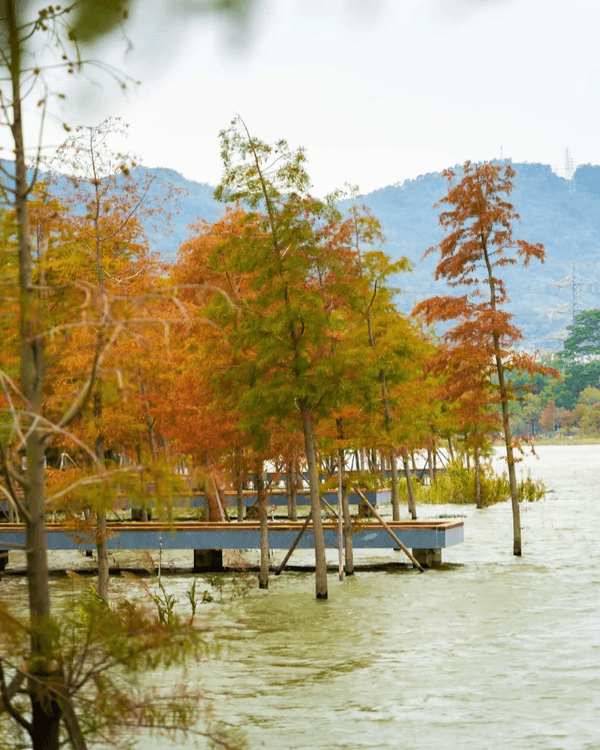 深圳寶安Citywalk指南🚶🏻帶你爽逛文體場地+山邊海景路線🌊