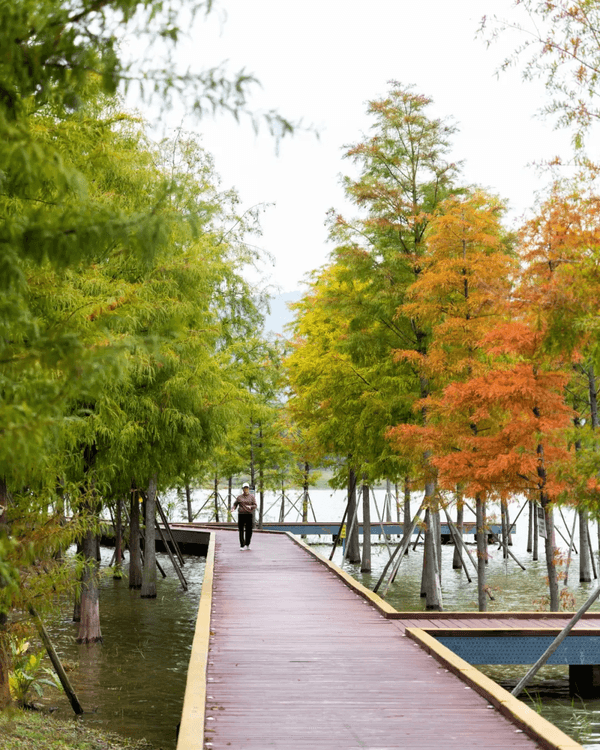 深圳寶安Citywalk指南🚶🏻帶你爽逛文體場地+山邊海景路線🌊