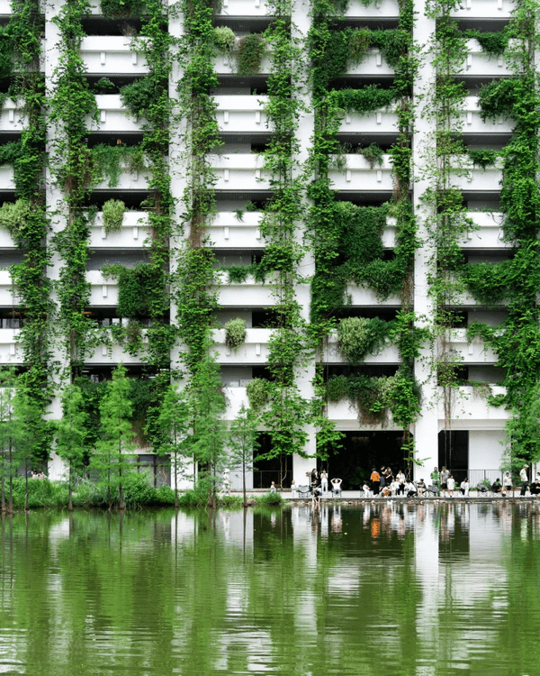 深圳寶安精選美食、人文Citywalk路線✨打卡必去咖啡一條街☕