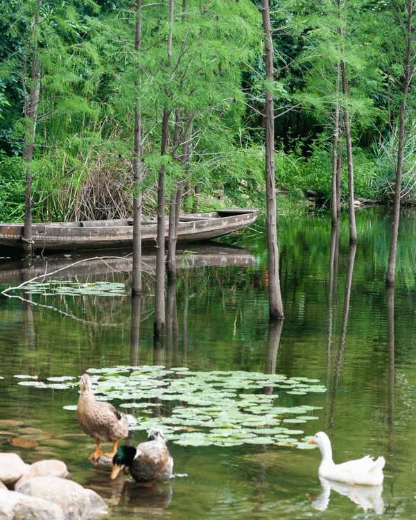 深圳寶安精選美食、人文Citywalk路線✨打卡必去咖啡一條街☕