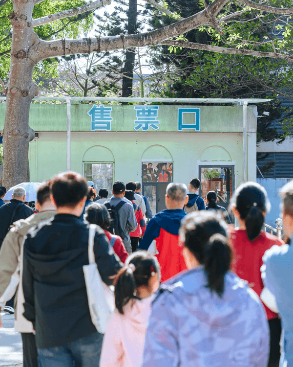 🚇深圳地鐵8號線「睇海專線」開通🌊3種玩法+9個人氣景點一篇整理🤩
