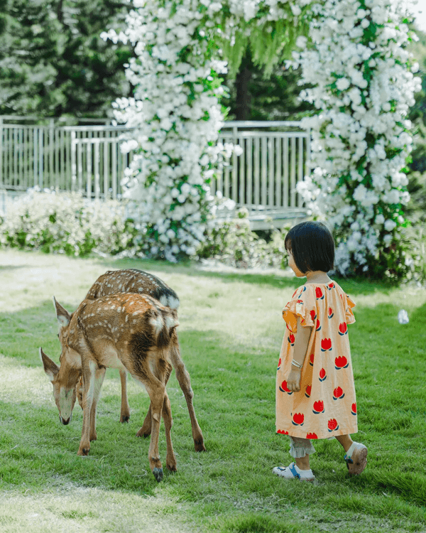 🚇深圳地鐵8號線「睇海專線」開通🌊3種玩法+9個人氣景點一篇整理🤩