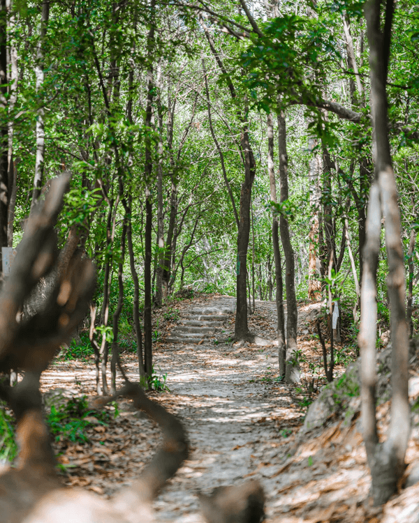 🚇深圳地鐵8號線「睇海專線」開通🌊3種玩法+9個人氣景點一篇整理🤩