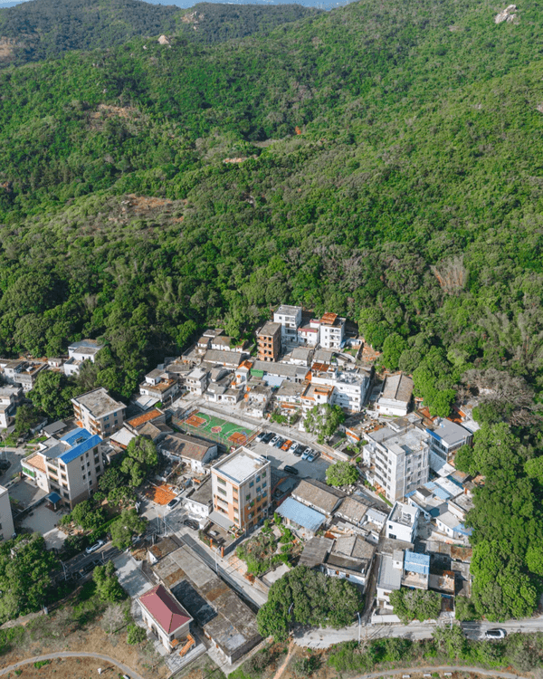🚇深圳地鐵8號線「睇海專線」開通🌊3種玩法+9個人氣景點一篇整理🤩