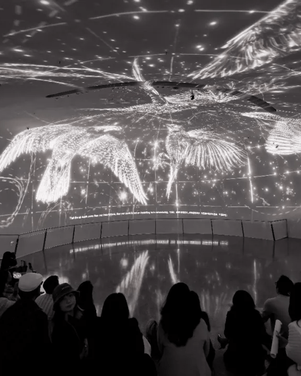 💗深圳灣萬象城「粉紅大街」開幕🛍️40+新店北上行街食飯必去🤩‼️