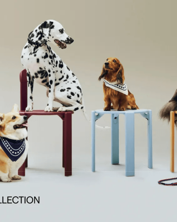 💗深圳灣萬象城「粉紅大街」開幕🛍️40+新店北上行街食飯必去🤩‼️