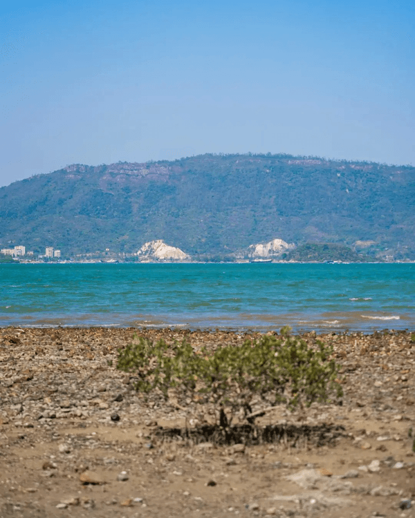 深圳必去玻璃水海灘秘境🌊人少景靚似足大理🏞️順道打卡百年古村🚶🏻‍♀️