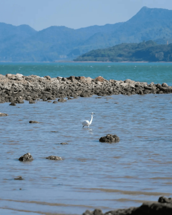 深圳必去玻璃水海灘秘境🌊人少景靚似足大理🏞️順道打卡百年古村🚶🏻‍♀️