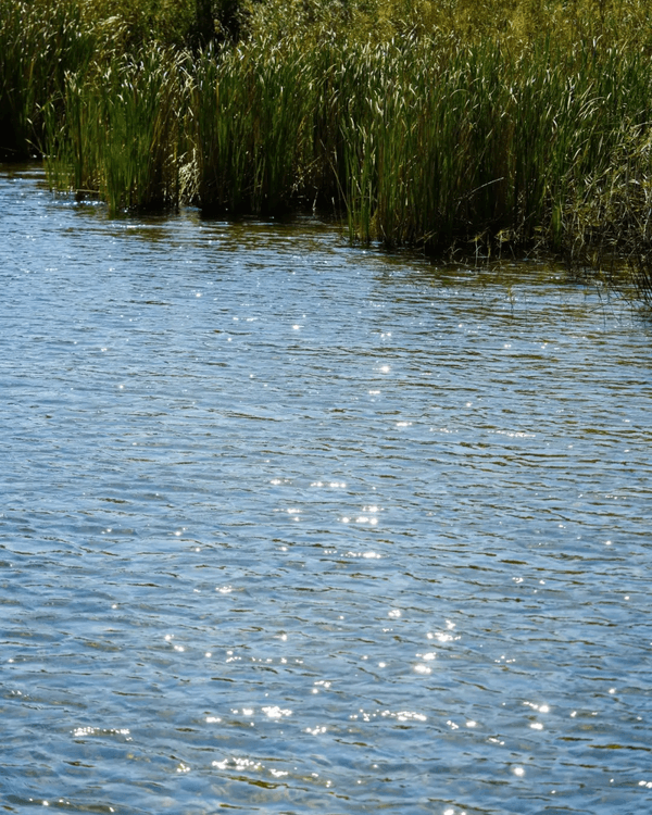 深圳必去玻璃水海灘秘境🌊人少景靚似足大理🏞️順道打卡百年古村🚶🏻‍♀️