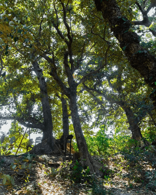 深圳必去玻璃水海灘秘境🌊人少景靚似足大理🏞️順道打卡百年古村🚶🏻‍♀️
