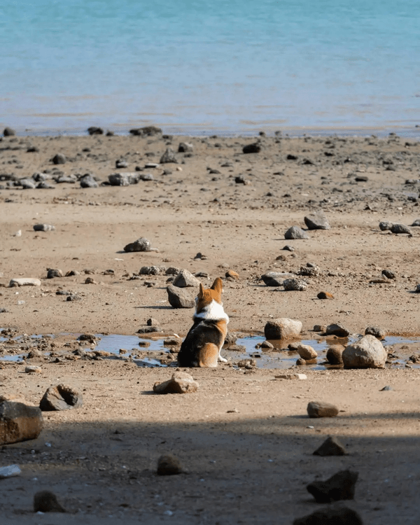 深圳必去玻璃水海灘秘境🌊人少景靚似足大理🏞️順道打卡百年古村🚶🏻‍♀️