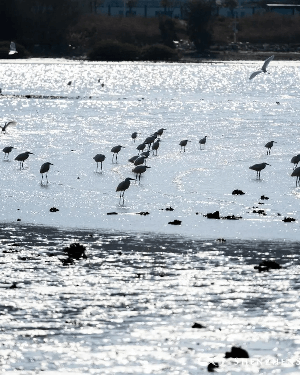 深圳必去玻璃水海灘秘境🌊人少景靚似足大理🏞️順道打卡百年古村🚶🏻‍♀️