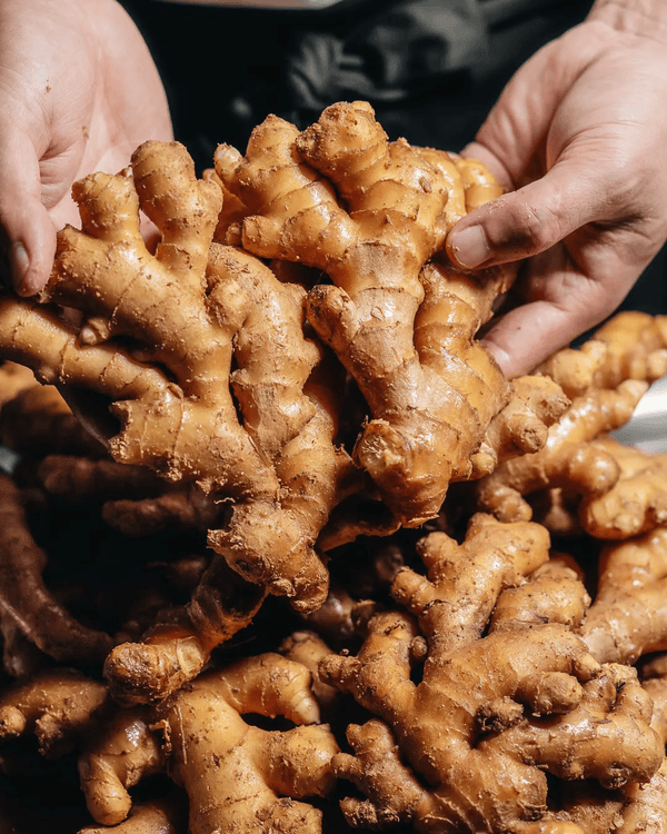 深圳南山超人氣美食街長興路🤤7間餐廳推薦🌟必吃榜冠軍牛腩煲必試🐂