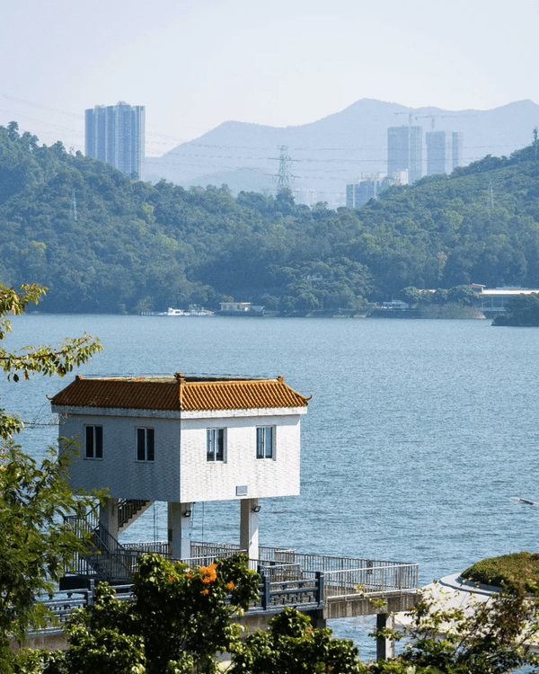 深圳羅湖新水庫綠道🌲千島湖/湖光塔/動物園必打卡🌟啱晒一家大細週末放鬆