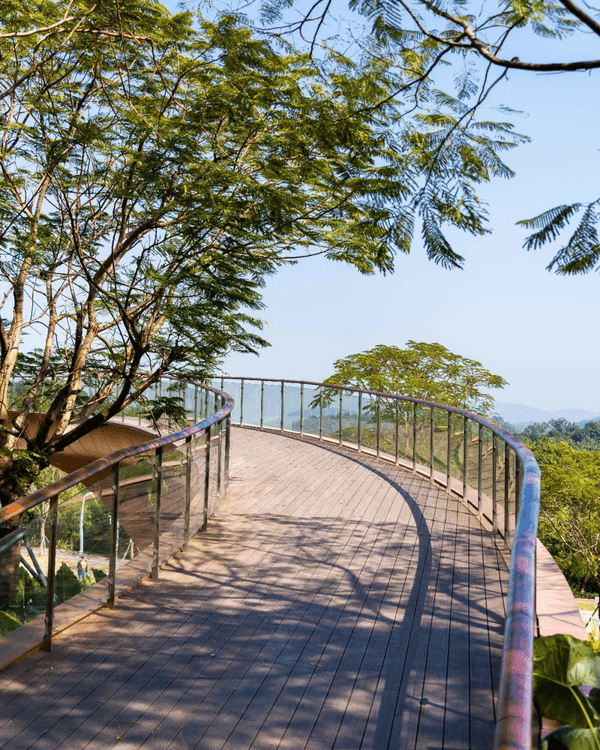 深圳羅湖新水庫綠道🌲千島湖/湖光塔/動物園必打卡🌟啱晒一家大細週末放鬆
