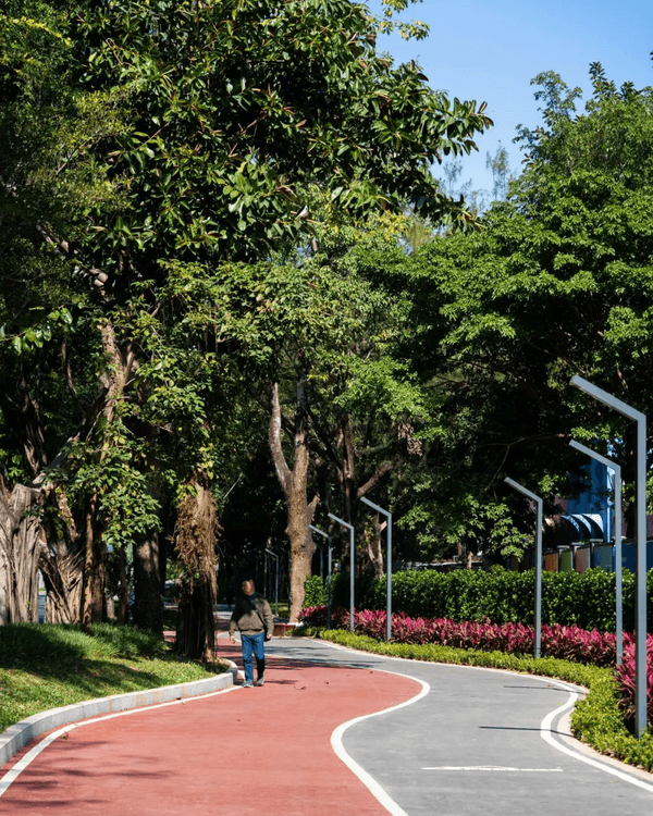 深圳羅湖新水庫綠道🌲千島湖/湖光塔/動物園必打卡🌟啱晒一家大細週末放鬆