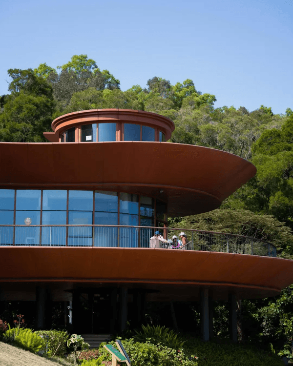 深圳羅湖新水庫綠道🌲千島湖/湖光塔/動物園必打卡🌟啱晒一家大細週末放鬆