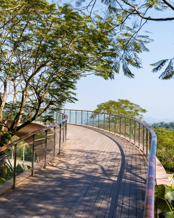 深圳羅湖新水庫綠道🌲千島湖/湖光塔/動物園必打卡🌟啱晒一家大細週末放鬆