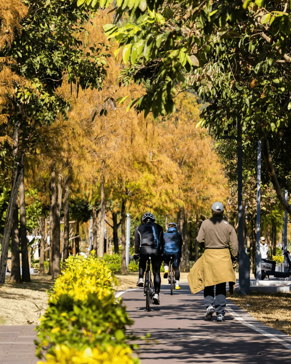 深圳羅湖新水庫綠道🌲千島湖/湖光塔/動物園必打卡🌟啱晒一家大細週末放鬆