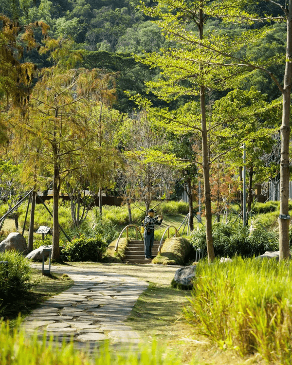 深圳羅湖新水庫綠道🌲千島湖/湖光塔/動物園必打卡🌟啱晒一家大細週末放鬆