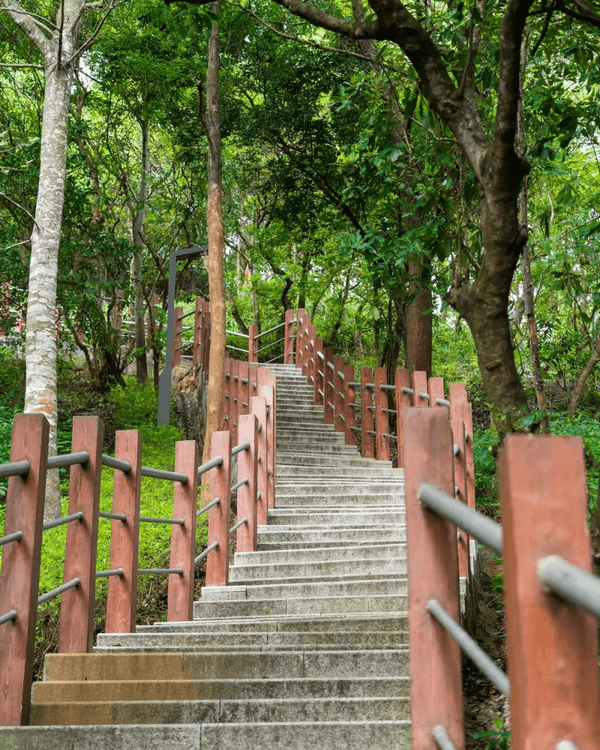 深圳羅湖新水庫綠道🌲千島湖/湖光塔/動物園必打卡🌟啱晒一家大細週末放鬆