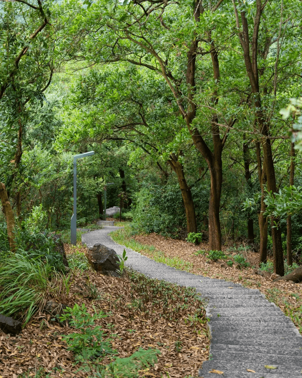 深圳羅湖新水庫綠道🌲千島湖/湖光塔/動物園必打卡🌟啱晒一家大細週末放鬆