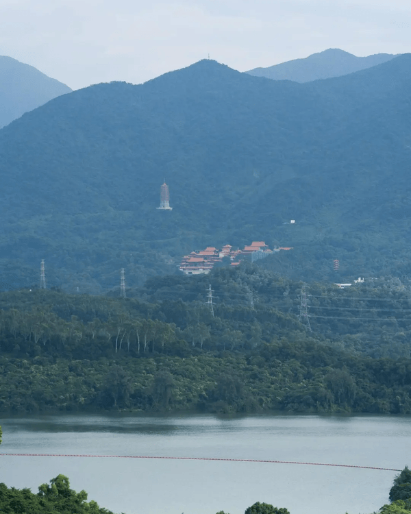 深圳羅湖新水庫綠道🌲千島湖/湖光塔/動物園必打卡🌟啱晒一家大細週末放鬆