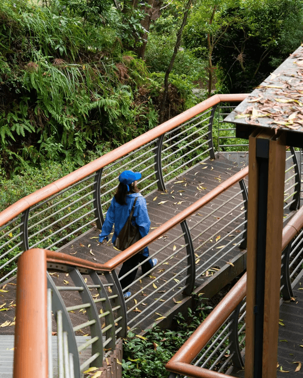 深圳羅湖新水庫綠道🌲千島湖/湖光塔/動物園必打卡🌟啱晒一家大細週末放鬆