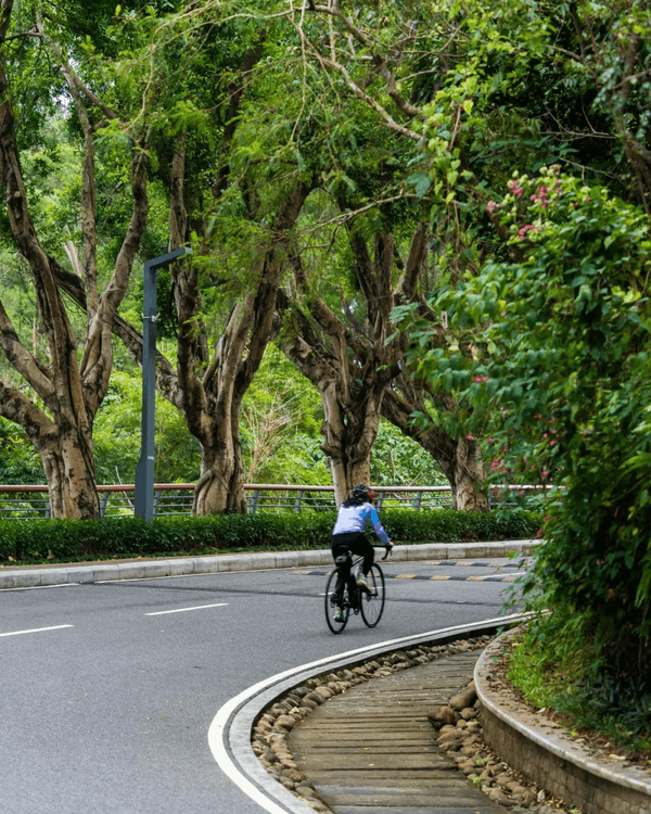 深圳羅湖新水庫綠道🌲千島湖/湖光塔/動物園必打卡🌟啱晒一家大細週末放鬆