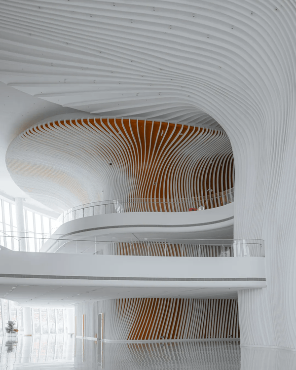 深圳新地標龍崗國際藝術中心開幕❗紅絲絨歌劇廳一秒穿越歐洲🎷附近期演出詳情🎫