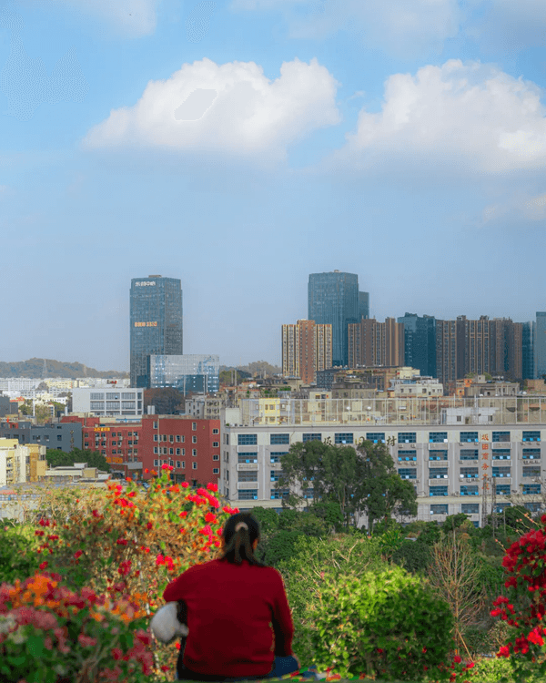 深圳新地標龍崗國際藝術中心開幕❗紅絲絨歌劇廳一秒穿越歐洲🎷附近期演出詳情🎫