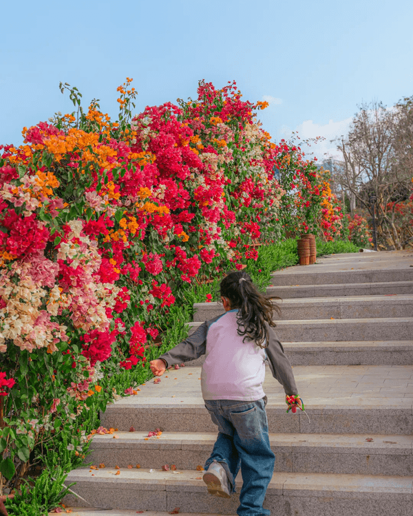深圳新地標龍崗國際藝術中心開幕❗紅絲絨歌劇廳一秒穿越歐洲🎷附近期演出詳情🎫