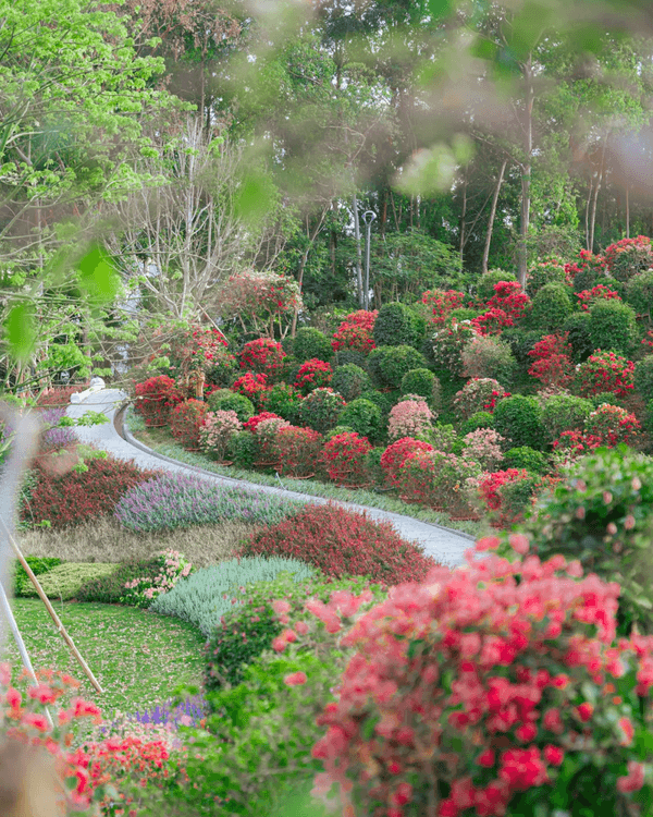 深圳新地標龍崗國際藝術中心開幕❗紅絲絨歌劇廳一秒穿越歐洲🎷附近期演出詳情🎫