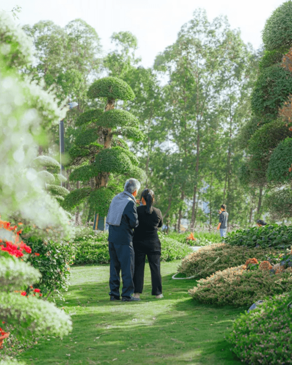 深圳新地標龍崗國際藝術中心開幕❗紅絲絨歌劇廳一秒穿越歐洲🎷附近期演出詳情🎫